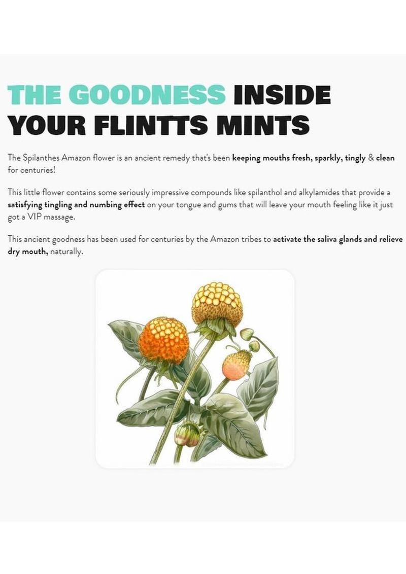 Flintts Mouth Watering Mints Cool Freshness Watermelon